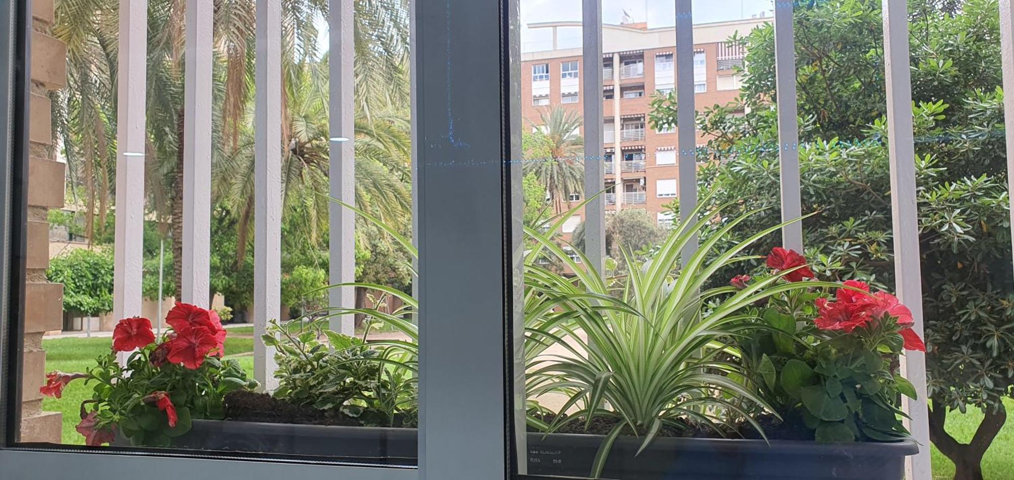 A123 Viviendaturisticavalencia Grandes Grupos Exterior photo